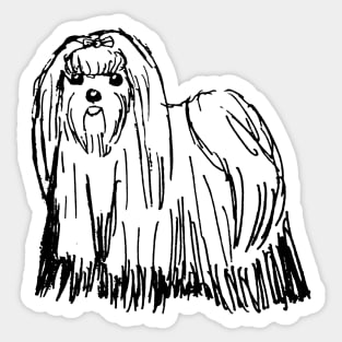 Maltese Dog Sketch Sticker